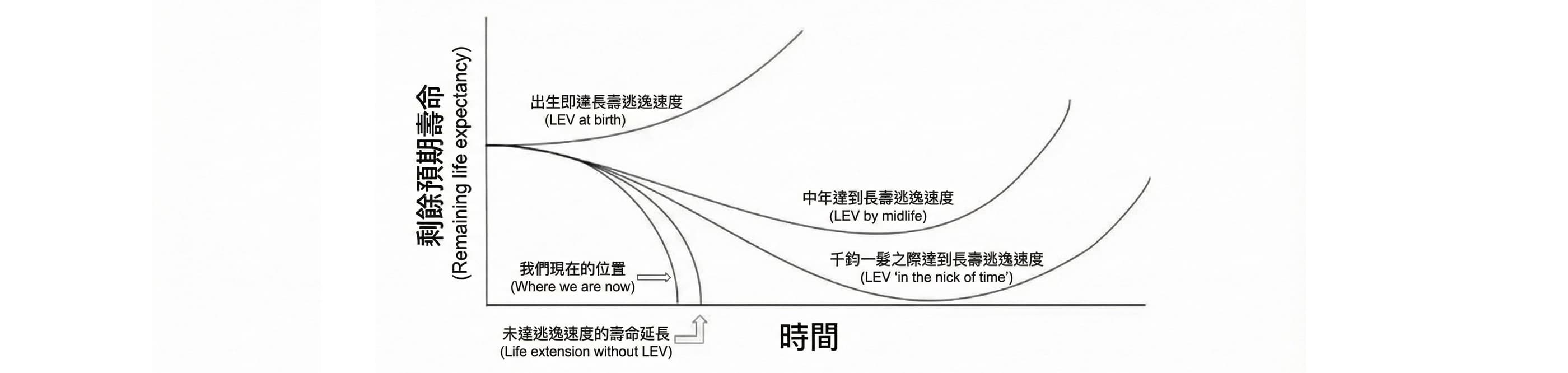 馬斯克 長生不老 論:死亡真的只是個 Bug 嗎?